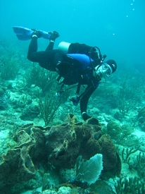 Diving in Tobago